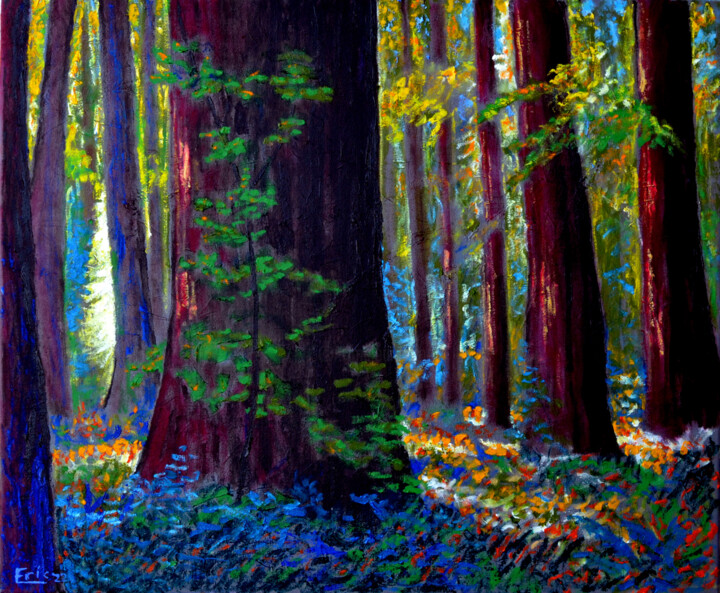 Картина под названием "Light in the Forest" - Eric Matranga, Подлинное произведение искусства, Масло