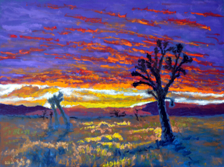 Pintura titulada "Joshua Tree Nationa…" por Eric Matranga, Obra de arte original, Oleo