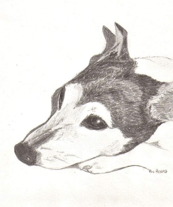 绘画 标题为“chien-090826-0829-f…” 由Eric Picard, 原创艺术品