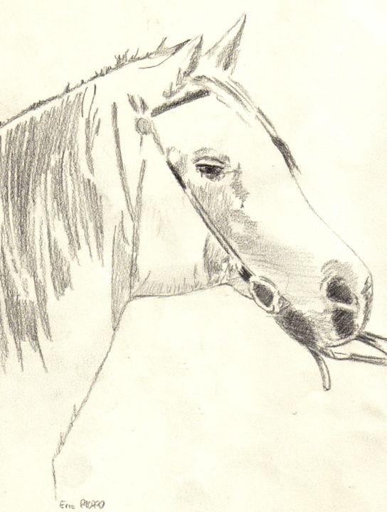 Peinture intitulée "cheval-5004-fnd-mod…" par Eric Picard, Œuvre d'art originale