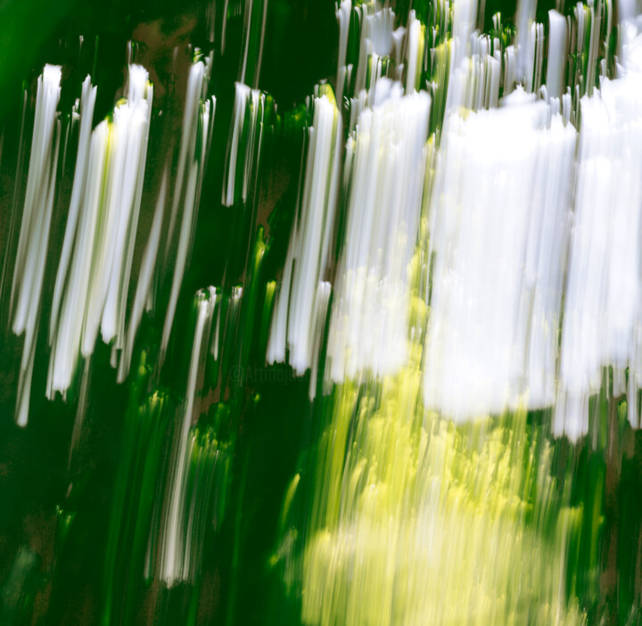 Photographie intitulée "Green II" par Eric Régimbeau, Œuvre d'art originale, Photographie numérique