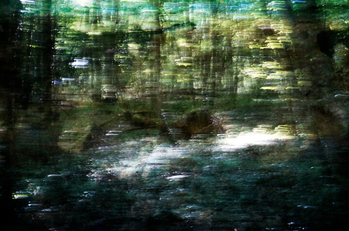 제목이 "Blue forest II"인 사진 Eric Régimbeau로, 원작, 디지털