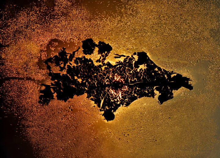 Фотография под названием "Dead Leaf under Fro…" - Eric Taylor, Подлинное произведение искусства, Цифровая фотография