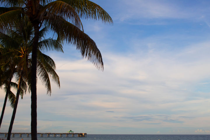 Photography titled "Dock & Palms 2" by Erica Bruns, Original Artwork, Digital Photography