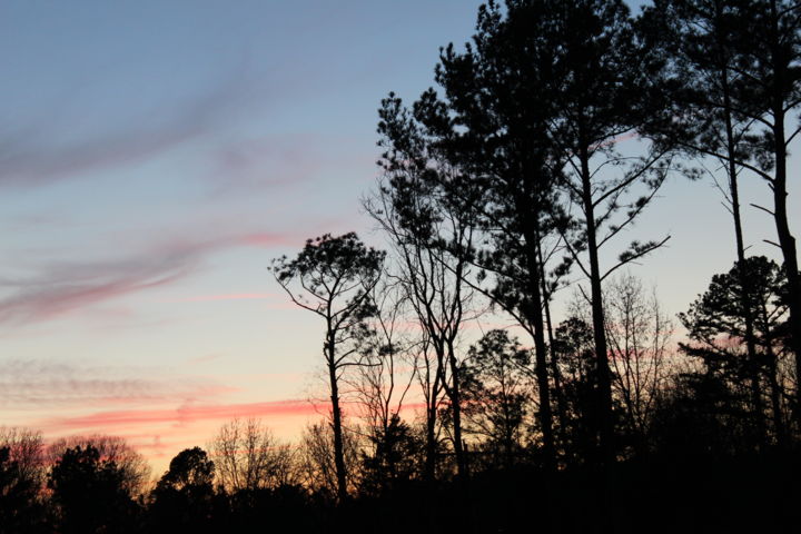 Photography titled "North Carolina Suns…" by Erica Bruns, Original Art, Non Manipulated Photography