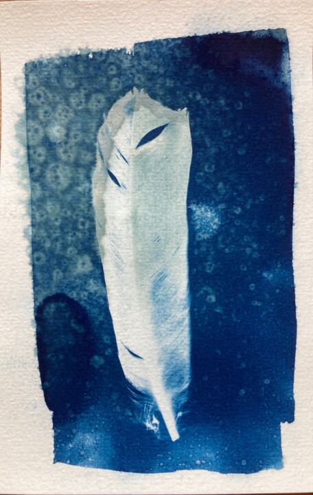 Fotografía titulada "cyanotype de plume…" por Erick Philippe (eikioo), Obra de arte original, Fotografía no manipulada