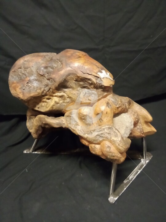 Sculpture intitulée "Le kraken" par Eric Rodriguez Sculpture, Œuvre d'art originale, Bois