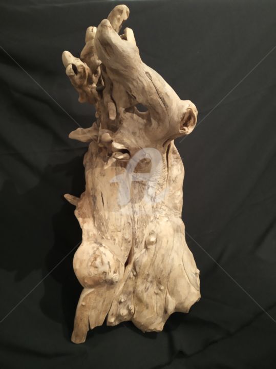 Skulptur mit dem Titel "Bois d'O" von Eric Rodriguez Sculpture, Original-Kunstwerk, Holz