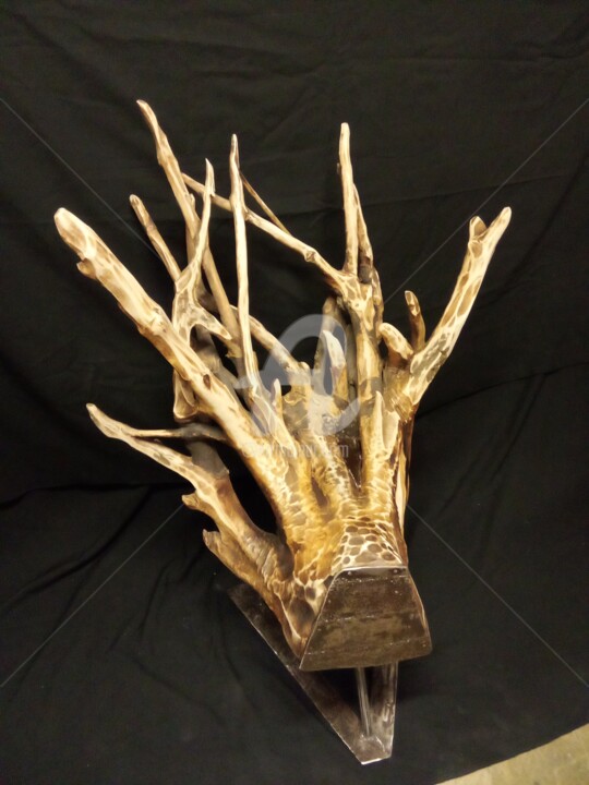 雕塑 标题为“Cerbère” 由Eric Rodriguez Sculpture, 原创艺术品, 木
