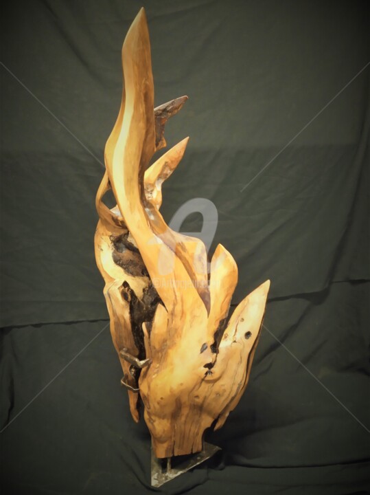 Skulptur mit dem Titel "Essence" von Eric Rodriguez Sculpture, Original-Kunstwerk, Holz