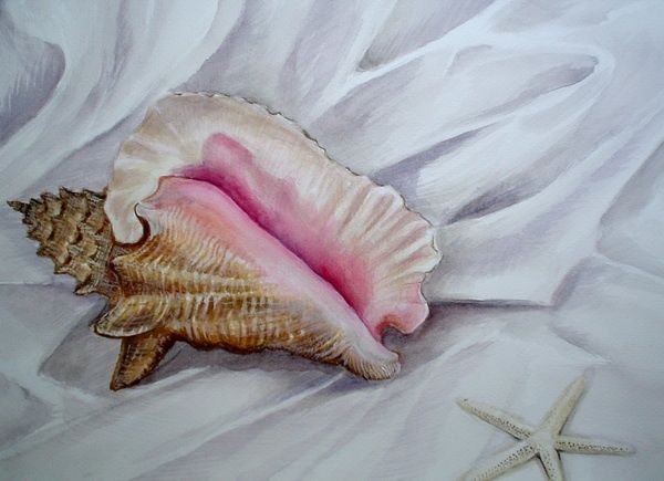 Картина под названием "coquillage aquarelle" - Eric Sabatier, Подлинное произведение искусства, Масло