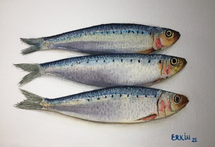 Peinture intitulée "Fishes-2" par Erkin Yılmaz, Œuvre d'art originale, Aquarelle
