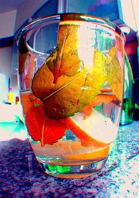 Fotografia intitolato "Autumn in glass" da Eshaphot, Opera d'arte originale