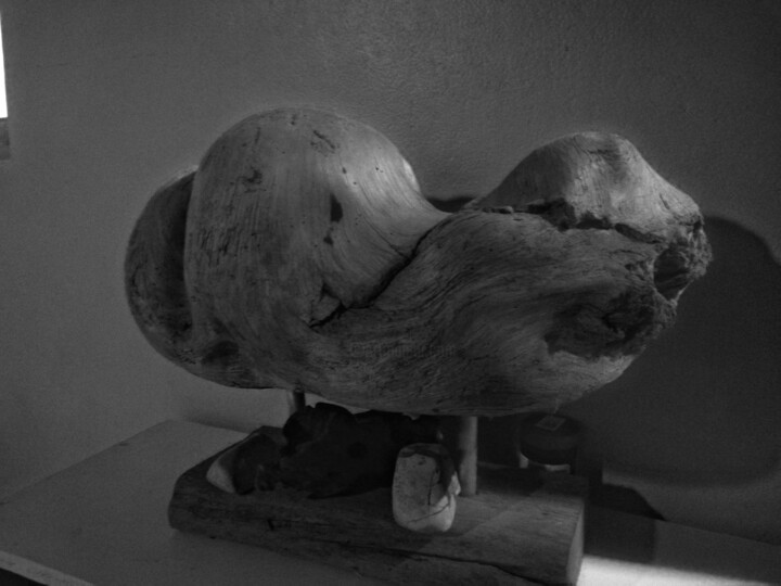 Escultura intitulada "Der Oktopus" por Esteban Quesada, Obras de arte originais, Madeira
