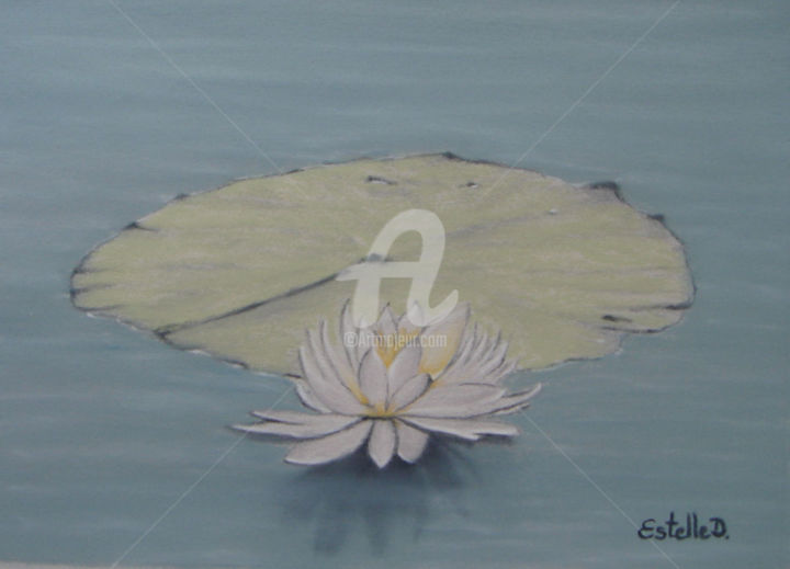 Drawing titled "Nénuphar" by Estelle D, Original Artwork, Pastel