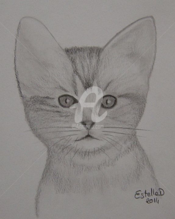 Zeichnungen mit dem Titel "bebe-chat" von Estelle D, Original-Kunstwerk, Andere