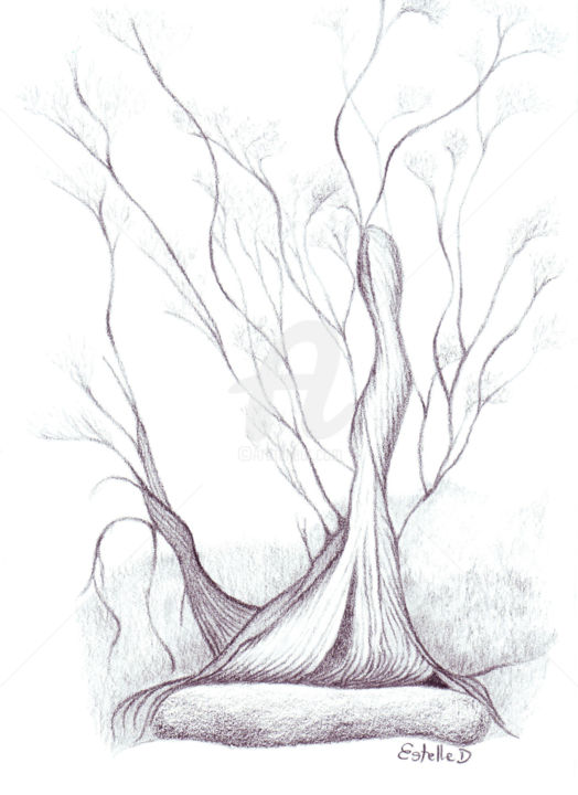 Drawing titled "Arbre imaginaire" by Estelle D, Original Artwork, Graphite