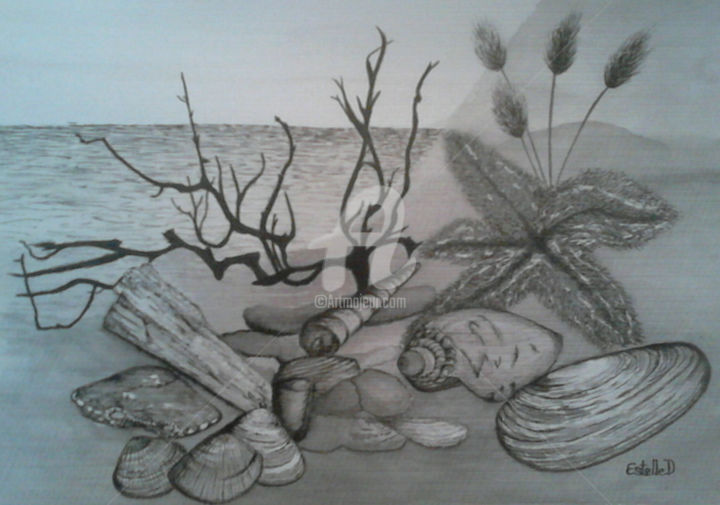 Drawing titled "Trésor de plage" by Estelle D, Original Artwork, Ink