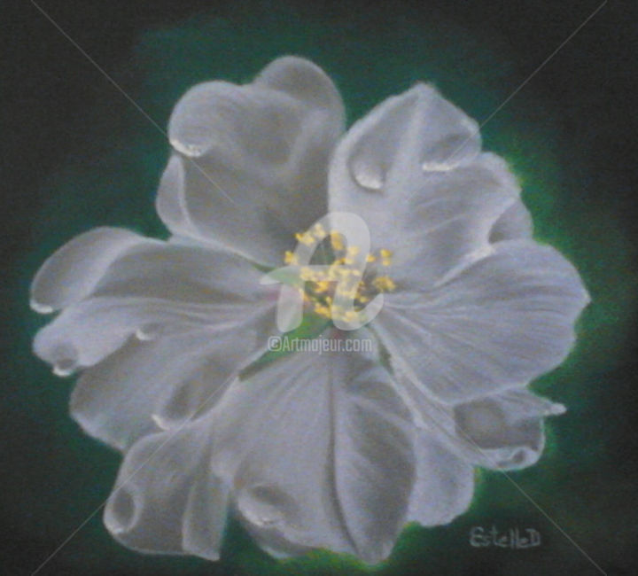 Dibujo titulada "Fleur d'amandier" por Estelle D, Obra de arte original, Pastel
