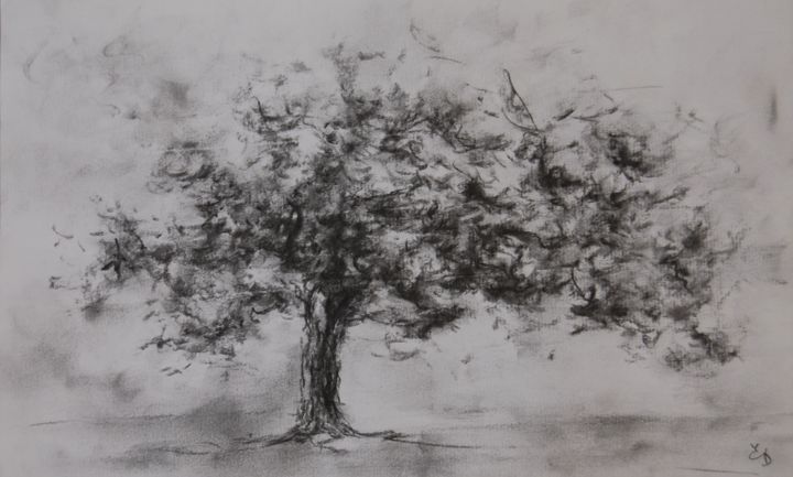 Drawing titled "Cerisier" by Estelle Darve, Original Artwork, Charcoal