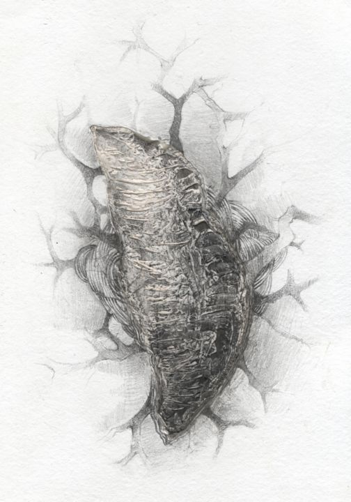 Drawing titled "Pupa" by Estrella Brückmann Linarez, Original Artwork, Graphite