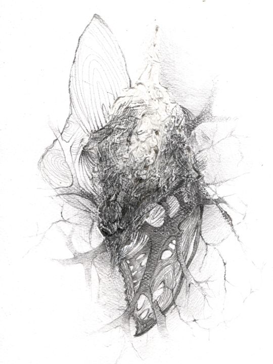 Drawing titled "Metamorfos" by Estrella Brückmann Linarez, Original Artwork, Graphite