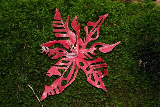 Fotografie getiteld "land art" door Carole Louise Barbier, Origineel Kunstwerk