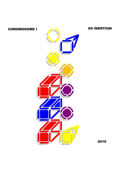 Arts numériques intitulée "chromosome I" par Etienne Frouin (E9 Inertion), Œuvre d'art originale, Travail numérique 2D