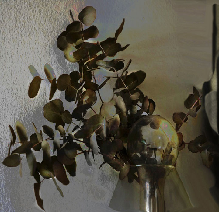 Fotografía titulada "Plantas -a" por Euclides Bernasconi Castellano, Obra de arte original, Fotografía manipulada