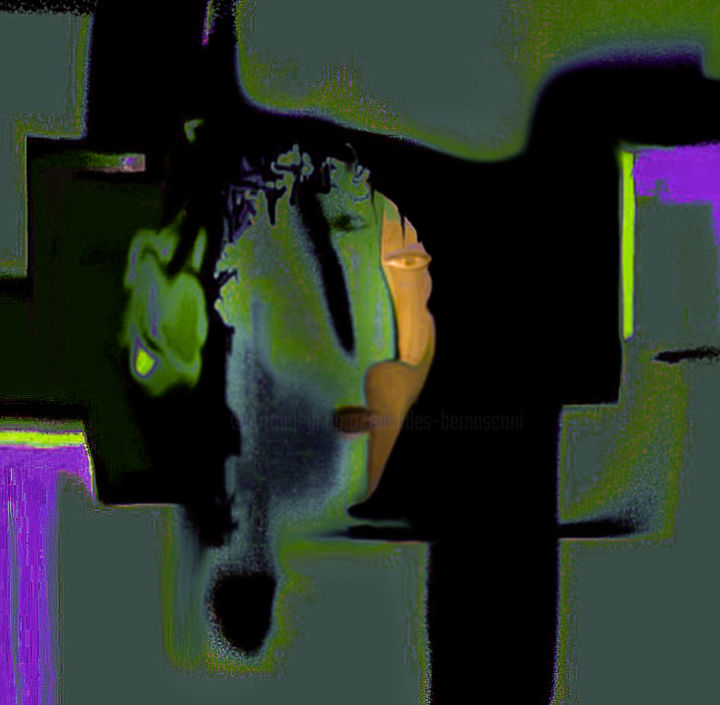 Digitale Kunst mit dem Titel "Perfil (Segunda ver…" von Euclides Bernasconi Castellano, Original-Kunstwerk, 2D digitale Arbe…