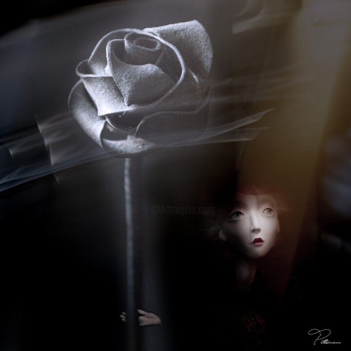 Photography titled "Steel rose" by Eugene Pitenin, Original Artwork, Manipulated Photography
