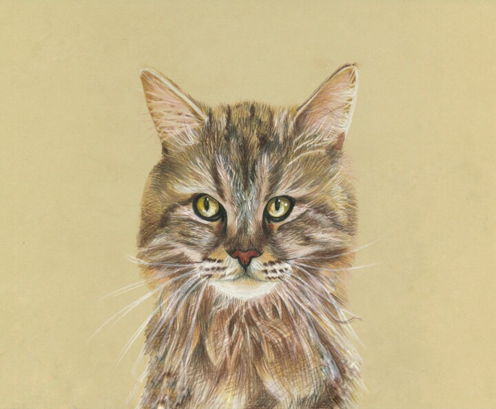 "Stubborn cat" başlıklı Resim Eugenie Eremeichuk tarafından, Orijinal sanat, Mum boya