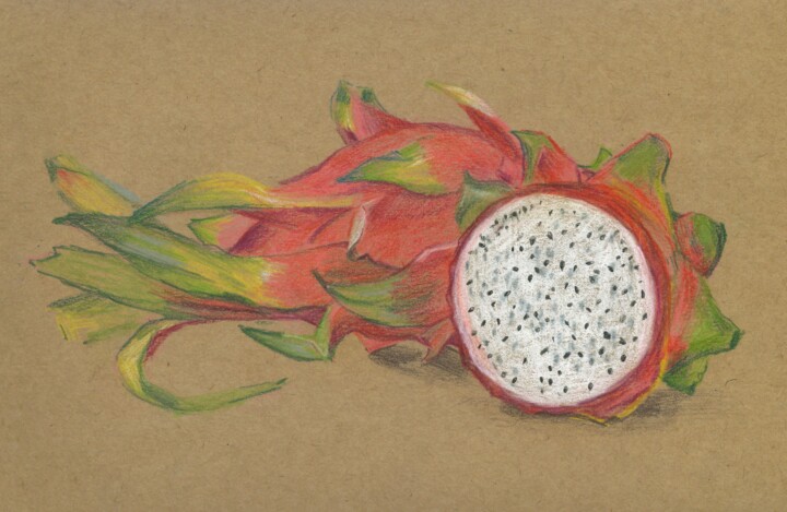 Disegno intitolato "Dragonfruit" da Eugenie Eremeichuk, Opera d'arte originale, Matite colorate