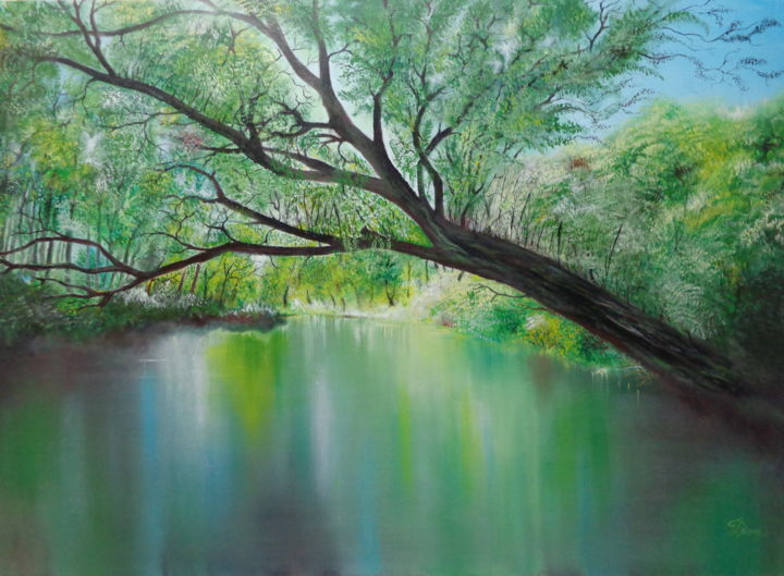 Painting titled "The silence of water" by Cezar Dron, Original Artwork, Oil