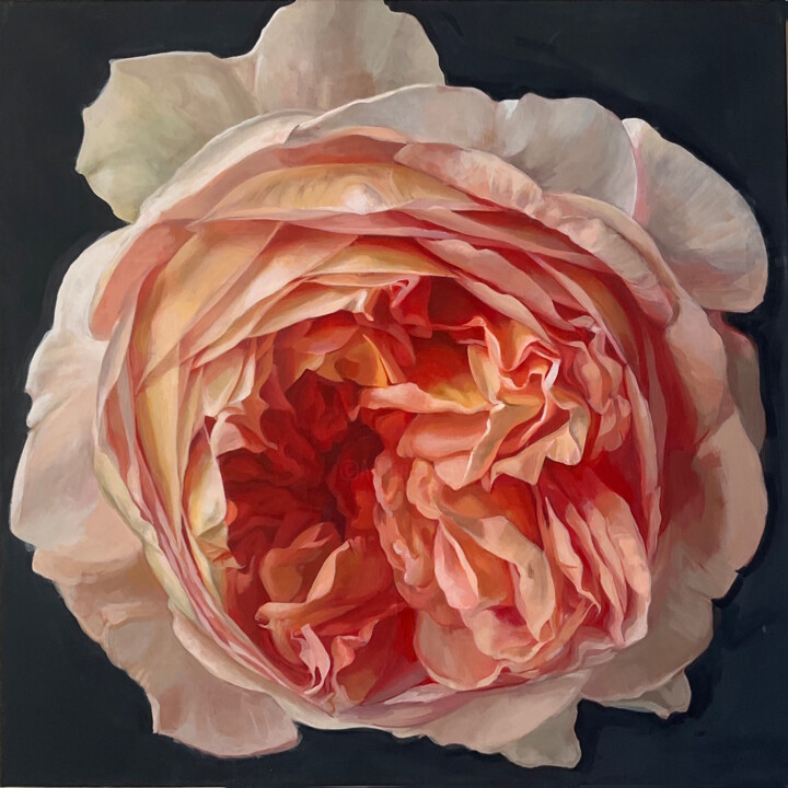 Painting titled "Rose" by Eva Buchmuller, Original Artwork, Acrylic Mounted on Wood Stretcher frame