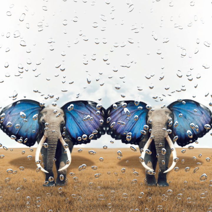 Φωτογραφία με τίτλο "Elephants" από Evanthia Ralliou, Αυθεντικά έργα τέχνης, Ψηφιακή φωτογραφία