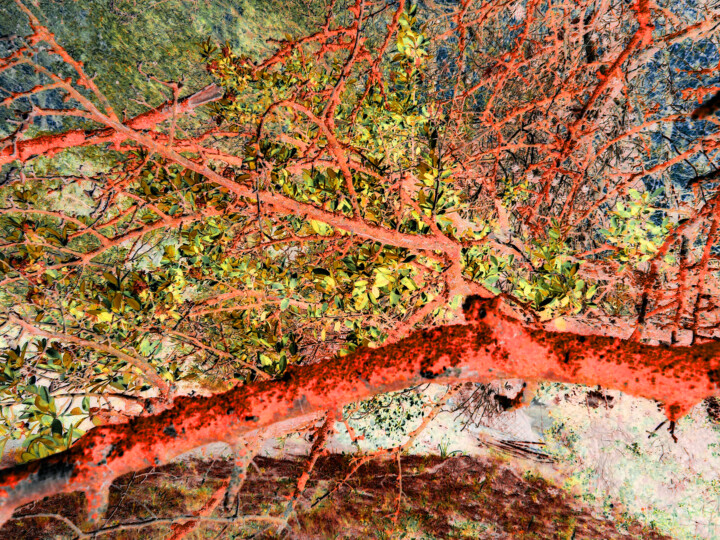 "négation 11" başlıklı Fotoğraf Gilbert Le Vast tarafından, Orijinal sanat, Dijital Fotoğrafçılık