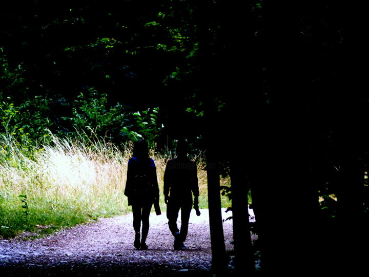 Photographie intitulée "Balade aux étangs" par Eve Cloarec, Œuvre d'art originale, Photographie numérique