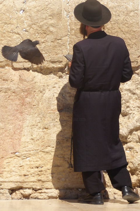 Photographie intitulée "IMPROBABLE RENCONTRE" par Eve Cloarec, Œuvre d'art originale, Photographie numérique