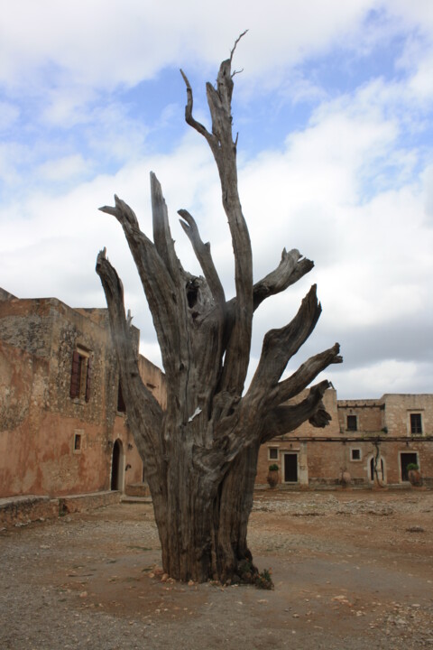 Fotografia intitolato "Survivant" da Evelyne Descamps, Opera d'arte originale