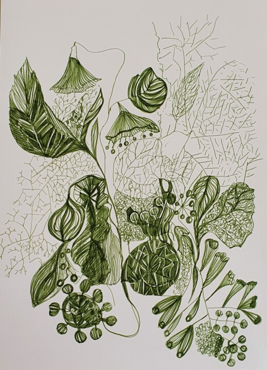 Dessin intitulée "végétaux graphiques" par Evelyne Siaudeau, Œuvre d'art originale, Crayon