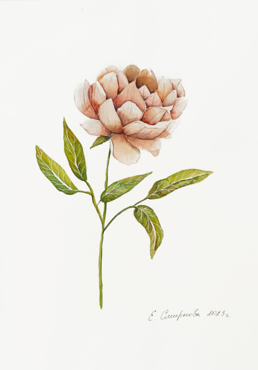 Pittura intitolato "Peonia" da Evgenia Smirnova, Opera d'arte originale, Acquarello