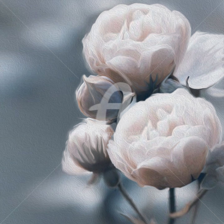 Цифровое искусство под названием "White peony roses." - Ievgeniia Bidiuk, Подлинное произведение искусства, 3D моделирование