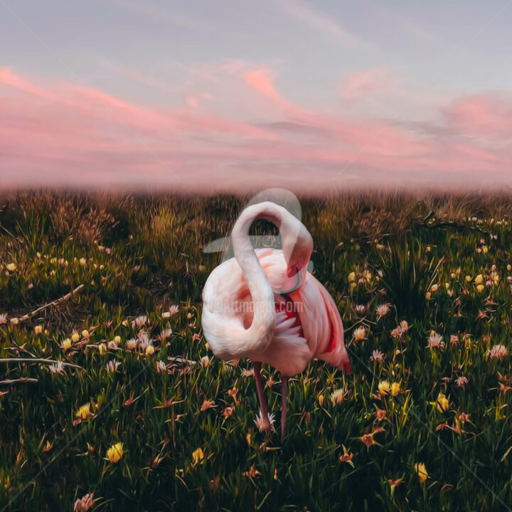 Arte digitale intitolato "Flamingo in a meado…" da Ievgeniia Bidiuk, Opera d'arte originale, Pittura digitale