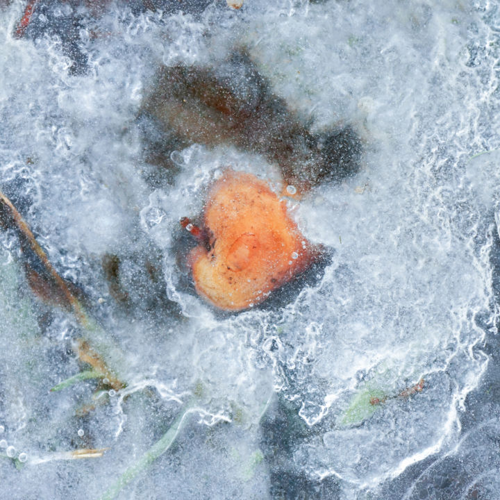 Photographie intitulée "Apple" par Evgenii Soloninov, Œuvre d'art originale