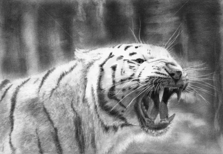 Drawing titled "White Tiger" by Evgenii Fil, Original Artwork, Graphite