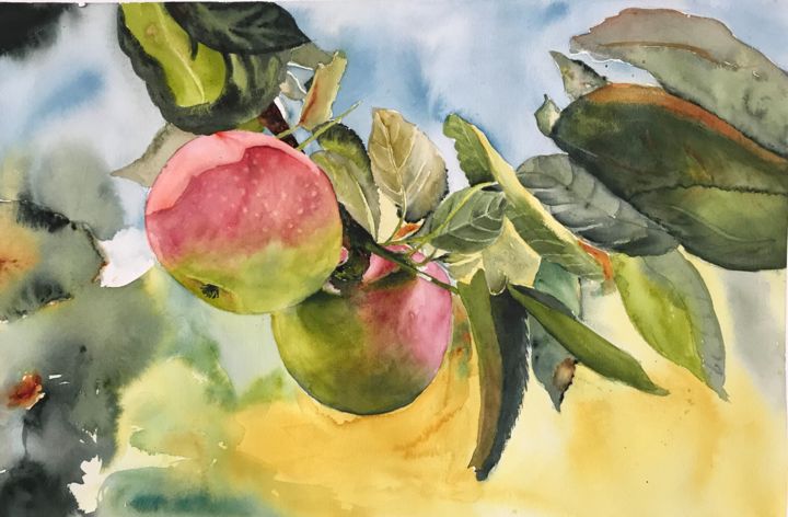 Painting titled "Apples" by Ewa Helzen, Original Artwork, Watercolor