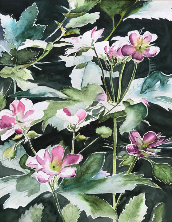 Peinture intitulée "Mid Summer Flowers" par Ewa Helzen, Œuvre d'art originale, Aquarelle