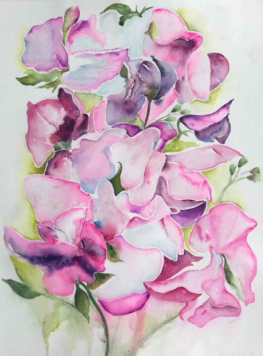 Painting titled "Lots of Sweet peas" by Ewa Helzen, Original Artwork, Watercolor