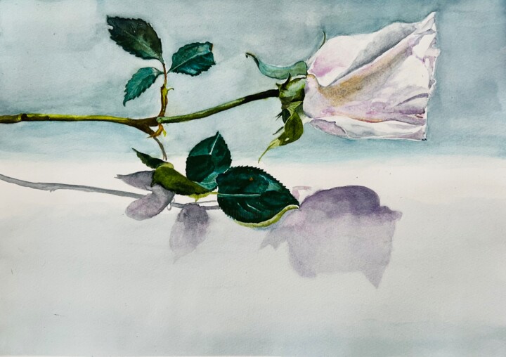 Schilderij getiteld "One rose with shadow" door Ewa Helzen, Origineel Kunstwerk, Aquarel